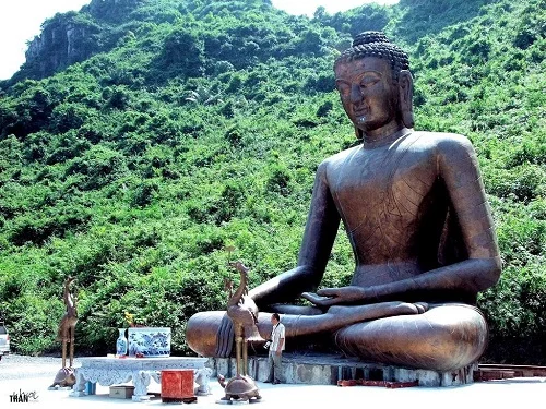 cua nhom xinga tai ha nam